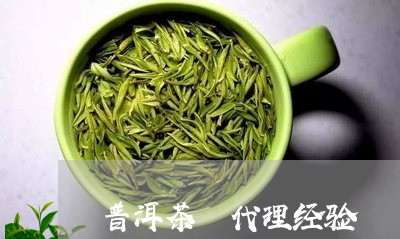 普洱茶 代理经验/2023032906947